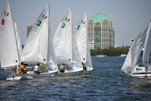 Picture 23
