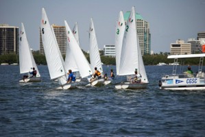Picture 24