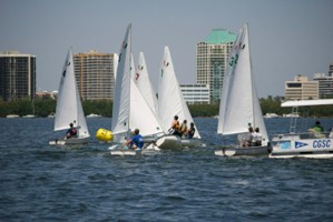 Picture 26