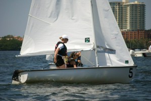 Picture 33