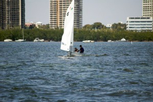 Picture 40