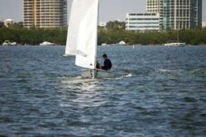 Picture 41