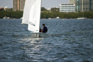 Picture 42