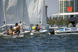 Picture 44