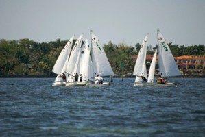 Picture 47