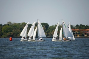 Picture 48