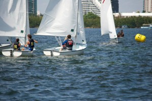 Picture 51