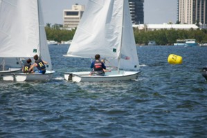 Picture 52
