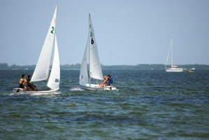 Picture 60