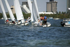 Picture 9