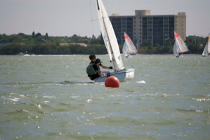 Picture 16