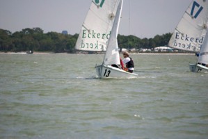 Picture 24