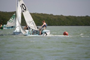 Picture 28