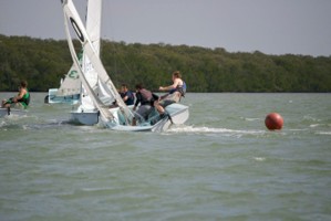 Picture 29