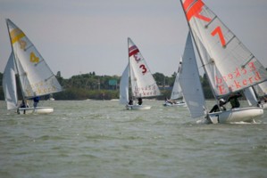 Picture 30