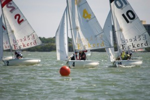Picture 33