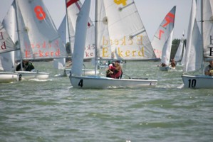 Picture 35