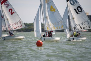 Picture 41