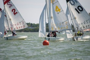 Picture 42