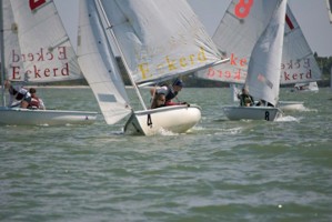 Picture 43