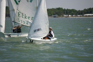 Picture 46