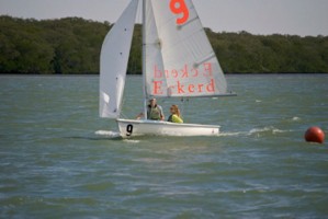 Picture 6