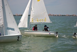 Picture 61