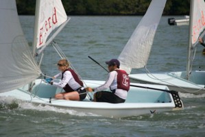 Picture 7