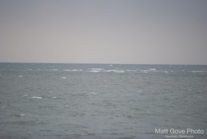 Picture 1