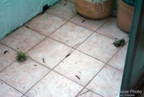 Picture 10