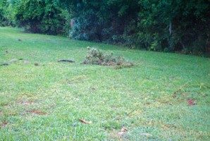 Picture 19