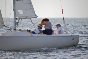 Picture 14