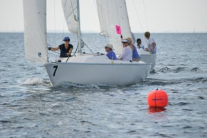 Picture 19