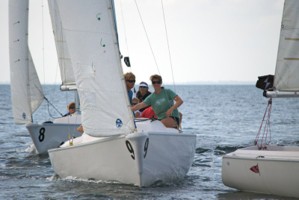 Picture 26