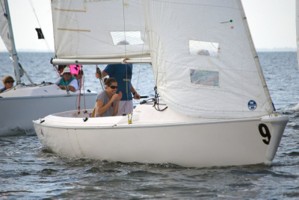 Picture 28