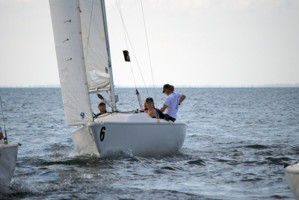 Picture 31
