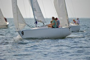 Picture 5