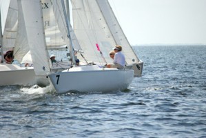 Picture 8