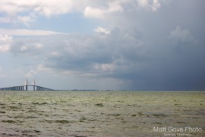 Picture 17