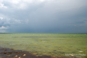 Picture 24