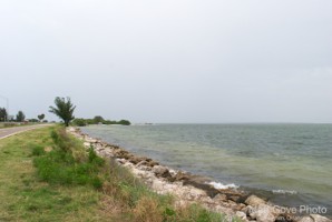Picture 31
