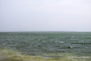 Picture 33