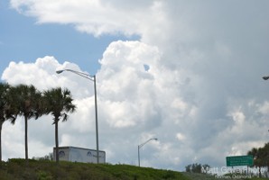 Picture 35