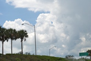 Picture 36
