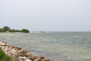Picture 37