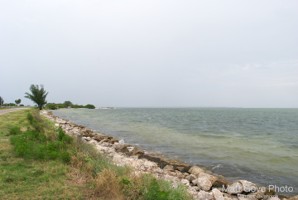 Picture 38