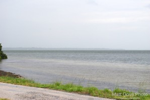 Picture 39