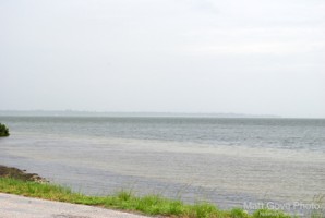 Picture 41