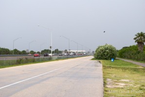 Picture 42