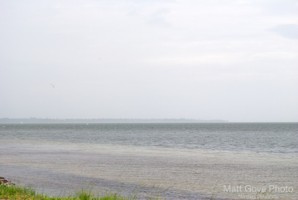 Picture 44
